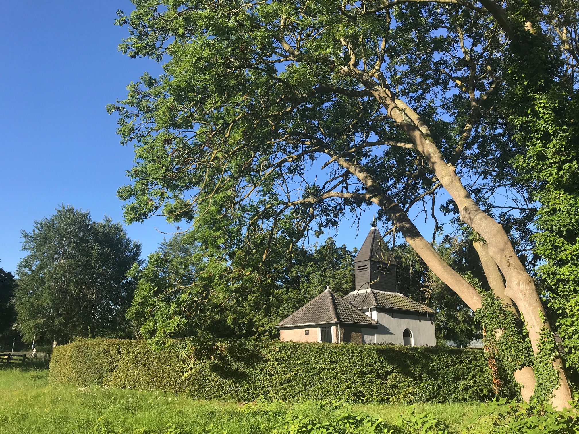 Natuur in Diemen Begraafplaats