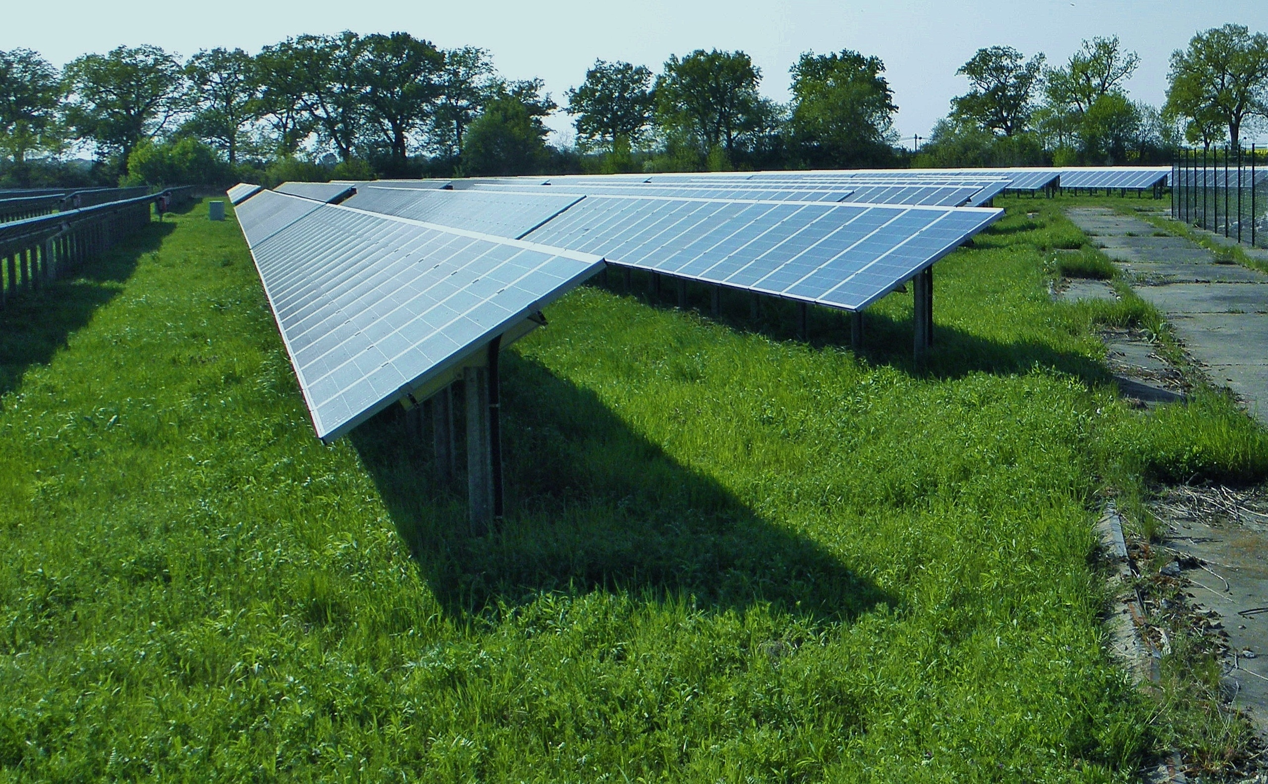 Zonneveld voor bomenrij