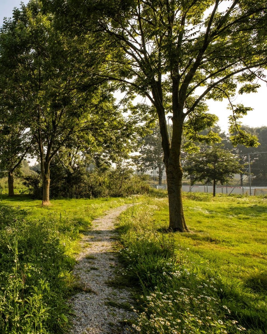 pad-achter-plantage-de-sniepverticaal