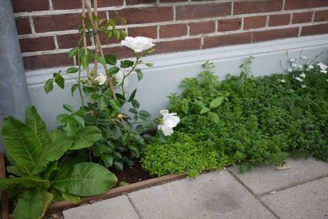 Geveltuintje aanvragen
