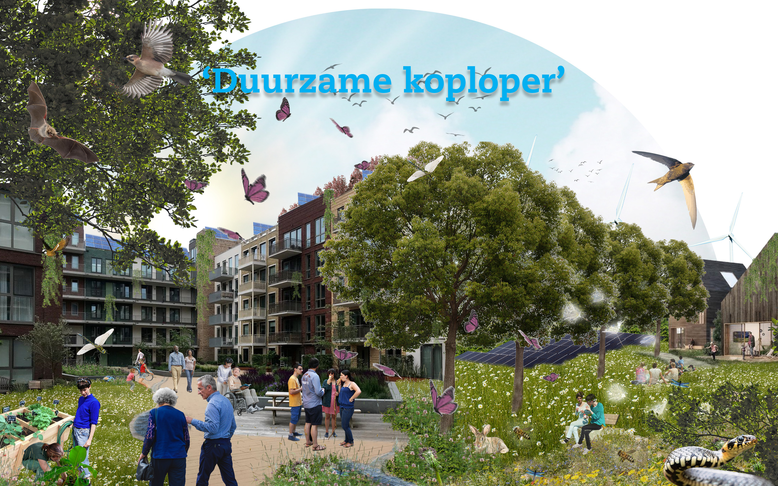 Collage_Diemen_Duurzame_Koploper_2_zonderwolkjes